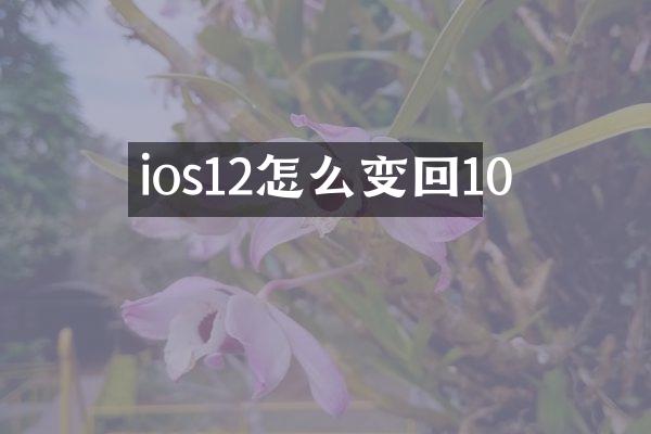 ios12怎么变回10