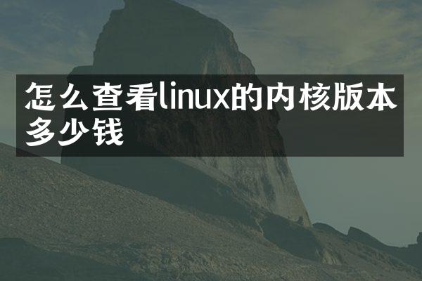 怎么查看linux的内核版本是多少钱