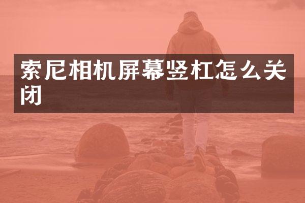 索尼相机屏幕竖杠怎么关闭