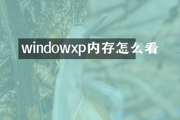 windowxp内存怎么看