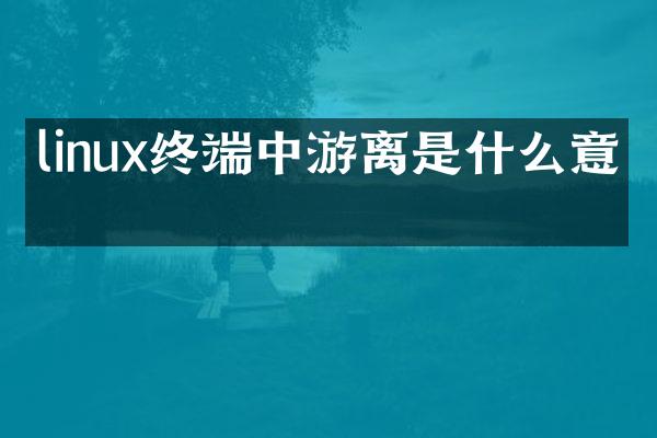 linux终端中游离是什么意思