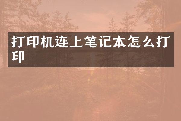 打印机连上笔记本怎么打印