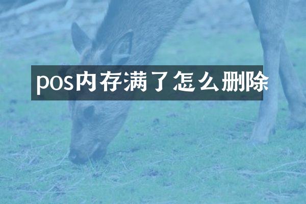 pos内存满了怎么删除