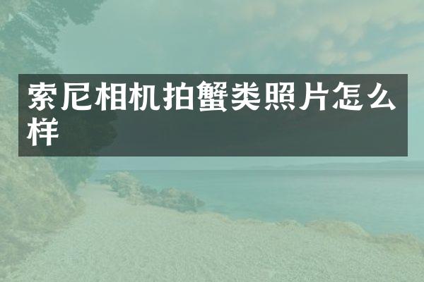 索尼相机拍蟹类照片怎么样