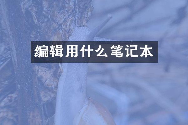 编辑用什么笔记本