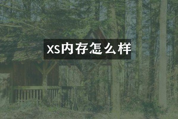 xs内存怎么样