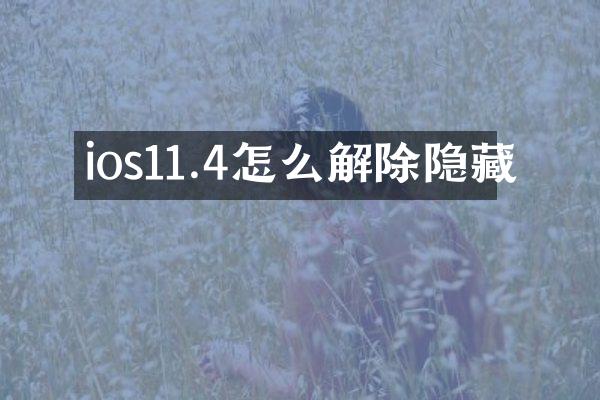 ios11.4怎么解除隐藏