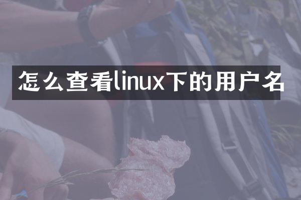 怎么查看linux下的用户名