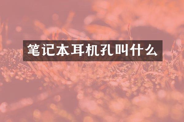 笔记本耳机孔叫什么