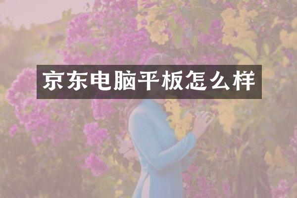 京东电脑平板怎么样