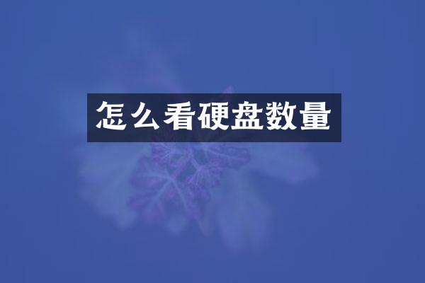 怎么看硬盘数量