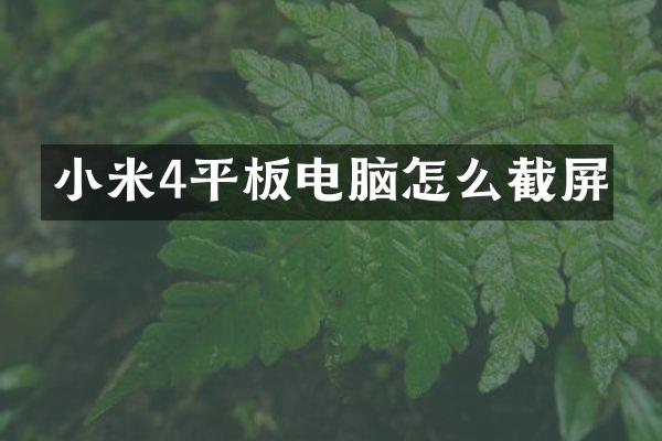 小米4平板电脑怎么截屏