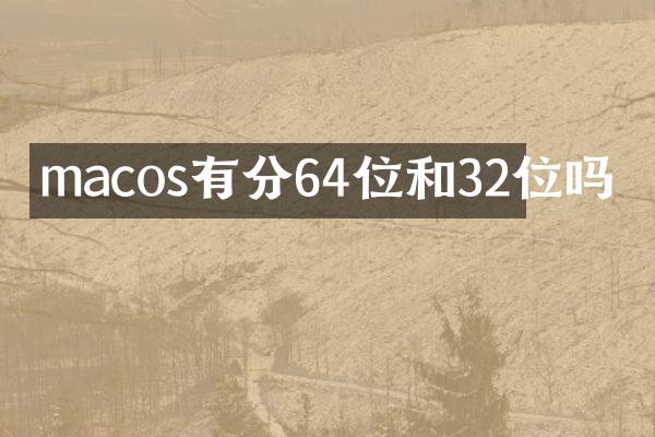 macos有分64位和32位吗