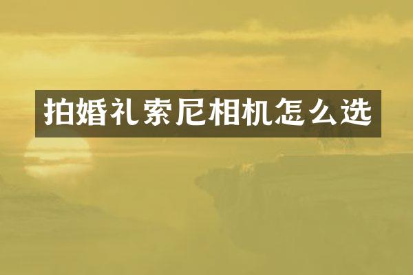 拍婚礼索尼相机怎么选