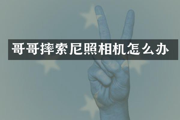 哥哥摔索尼照相机怎么办