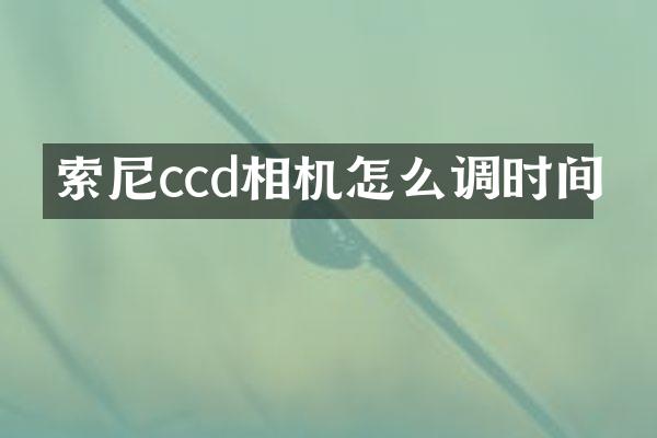 索尼ccd相机怎么调时间