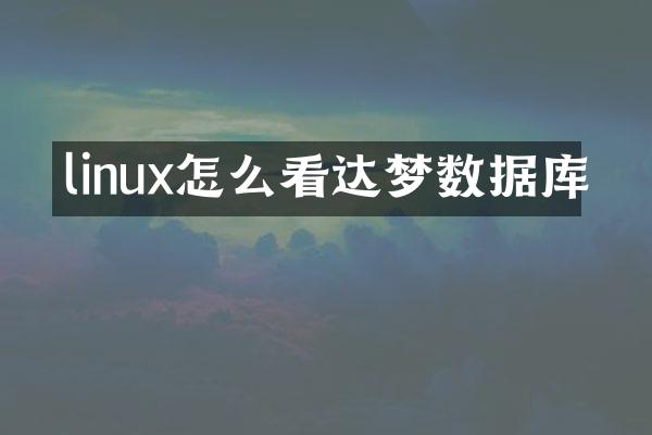 linux怎么看达梦数据库