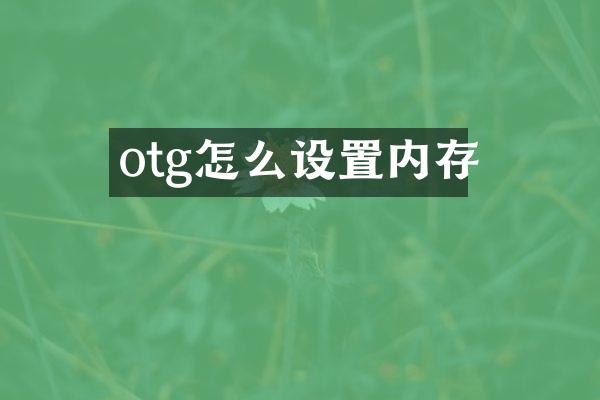 otg怎么设置内存