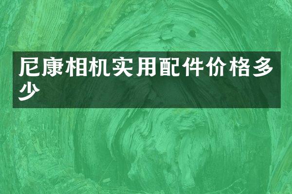 尼康相机实用配件价格多少