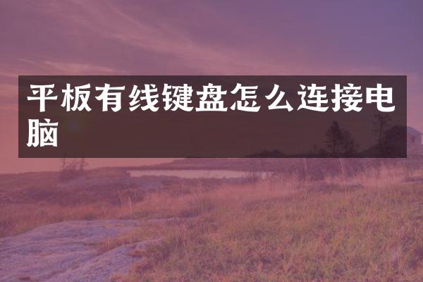 平板有线键盘怎么连接电脑