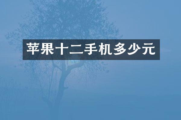 苹果十二手机多少元