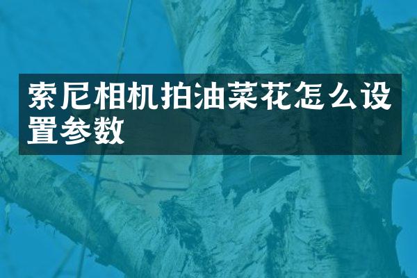 索尼相机拍油菜花怎么设置参数