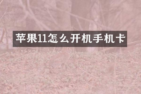 苹果11怎么开机手机卡