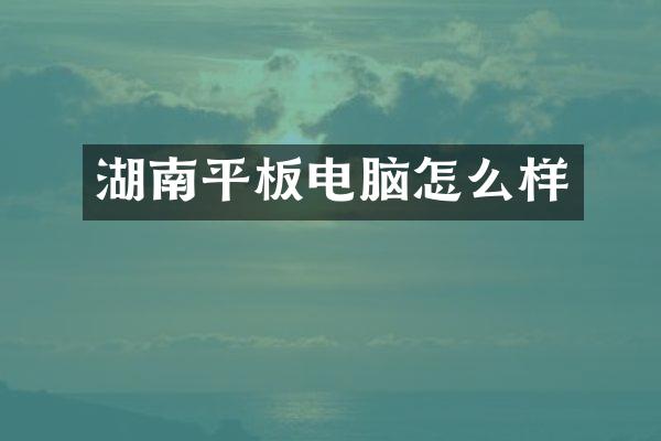 湖南平板电脑怎么样