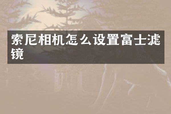 索尼相机怎么设置富士滤镜