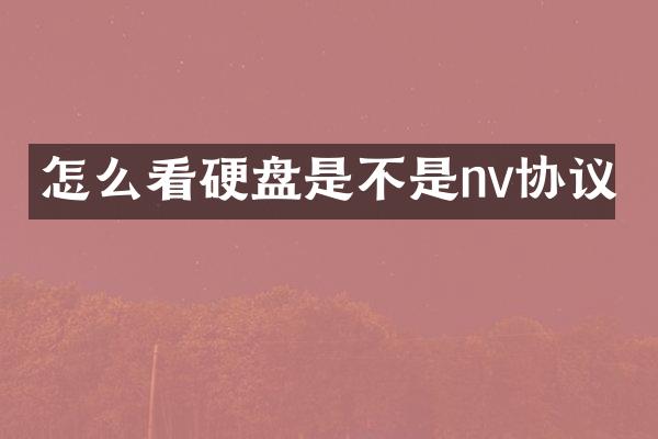 怎么看硬盘是不是nv协议