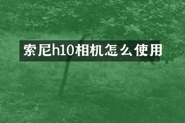 索尼h10相机怎么使用