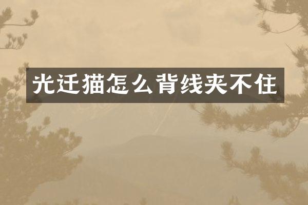 光迁猫怎么背线夹不住