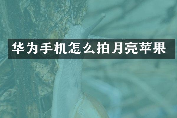 华为手机怎么拍月亮苹果