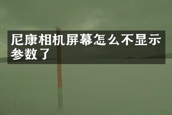 尼康相机屏幕怎么不显示参数了