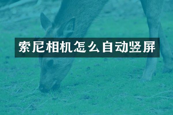 索尼相机怎么自动竖屏