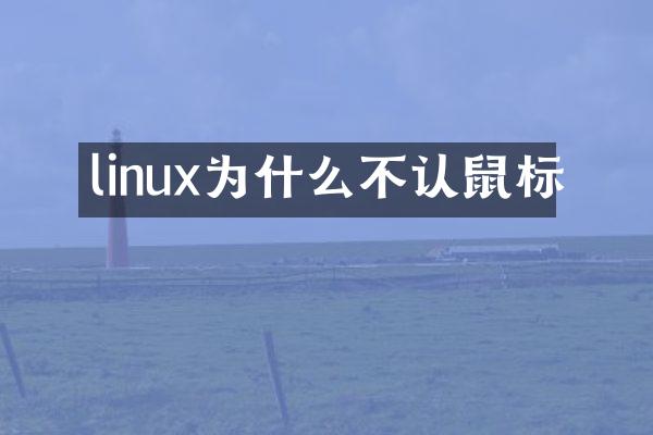 linux为什么不认鼠标