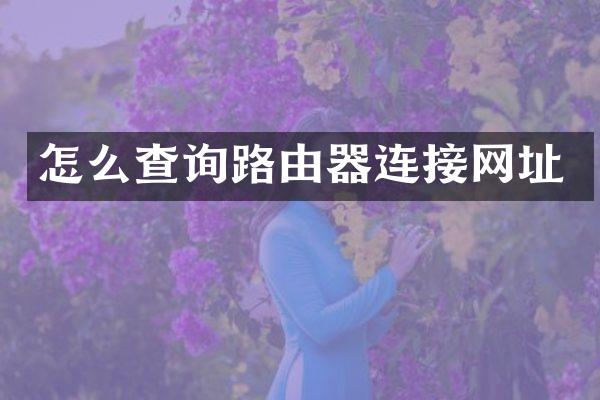 怎么查询路由器连接网址