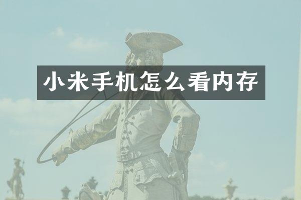 小米手机怎么看内存