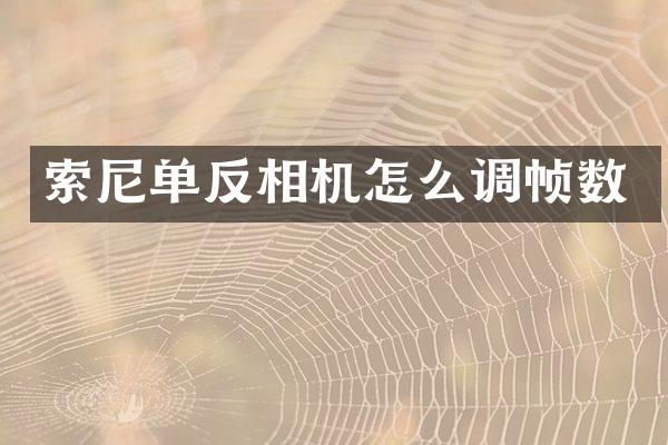 索尼单反相机怎么调帧数