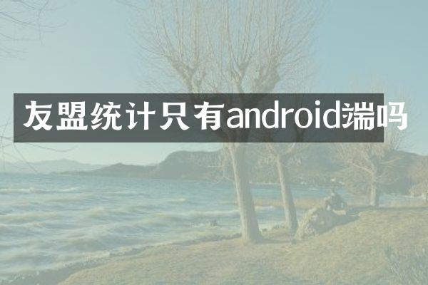友盟统计只有android端吗