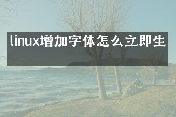 linux增加字体怎么立即生效