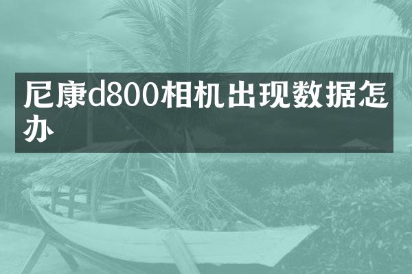 尼康d800相机出现数据怎么办