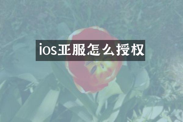 ios亚服怎么授权