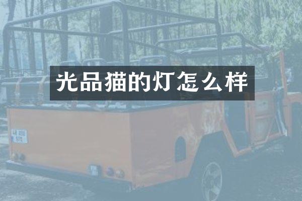 光品猫的灯怎么样