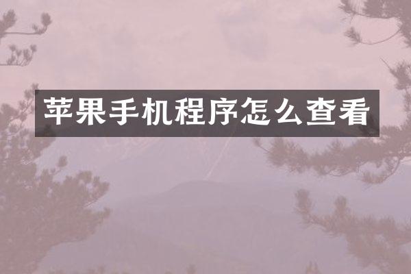 苹果手机程序怎么查看