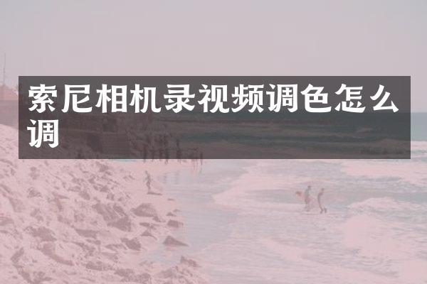 索尼相机录视频调色怎么调