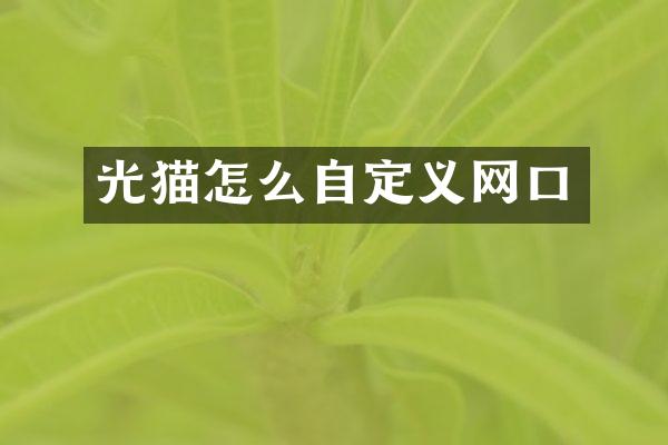 光猫怎么自定义网口