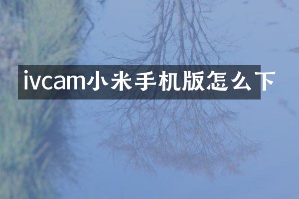 ivcam小米手机版怎么下