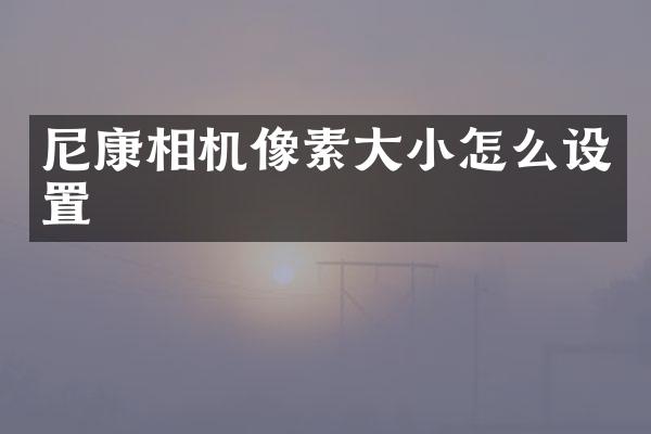 尼康相机像素大小怎么设置