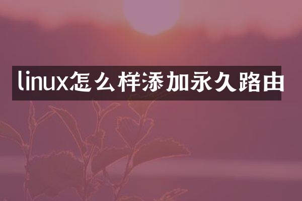 linux怎么样添加永久路由